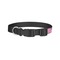 Pink Pirate Dog Collar - Small - Back