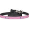 Pink Pirate Dog Leash (Personalized)