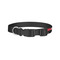 Pirate & Dots Dog Collar - Small - Back