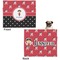 Girl's Pirate & Dots Microfleece Dog Blanket - Large- Front & Back