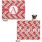 Red & Tan Plaid Microfleece Dog Blanket - Large- Front & Back