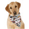 Dog Faces Dog Bandana Scarf w/ Name or Text