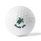 Sea Turtles Golf Balls - Generic - Set of 12 - FRONT