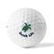 Sea Turtles Golf Balls - Titleist - Set of 12 - FRONT