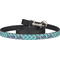 Sea Turtles Dog Leash (Personalized)