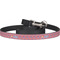 Cheerleader Dog Leash (Personalized)