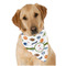 Sports Dog Bandana Scarf w/ Name or Text