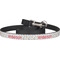 Sports Dog Leash (Personalized)