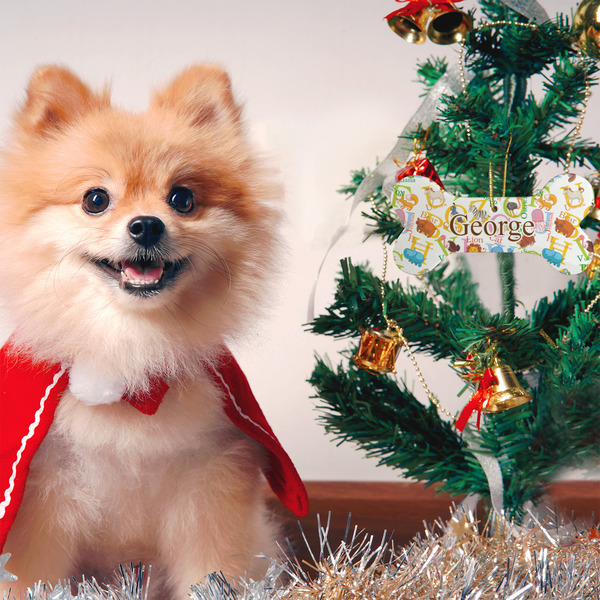 Animal Alphabet Ceramic Flat Ornament - Bone (LIFESTYLE)