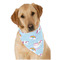 Rainbows and Unicorns Dog Bandana Scarf w/ Name or Text