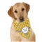 Damask & Moroccan Dog Bandana Scarf w/ Name and Initial