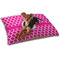 Moroccan Dog Bed - Small LIFESTYLE