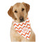 Chevron Dog Bandana Scarf w/ Monogram