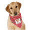 Red Western Dog Bandana Scarf w/ Name or Text