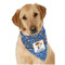 Blue Western Dog Bandana Scarf w/ Name or Text