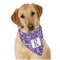 Initial Damask Dog Bandana Scarf