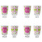 Pink & Green Suzani Glass Shot Glass - Standard - Set of 4 - APPROVAL