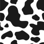 Cowprint Cowgirl Wallpaper & Surface Covering (Water Activated 24"x 24" Sample)