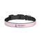 Lotus Pose Dog Collar - Large