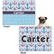 Anchors & Waves Microfleece Dog Blanket - Regular - Front & Back
