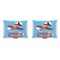 Airplane  Outdoor Rectangular Throw Pillow (Front and Back)
