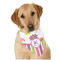 Butterflies & Stripes Dog Bandana Scarf w/ Name and Initial