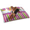 Butterflies & Stripes Dog Bed - Small LIFESTYLE
