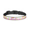 Butterflies & Stripes Dog Collar - Large (Personalized)