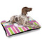 Butterflies & Stripes Outdoor Dog Beds - Large - IN CONTEXT