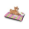 Butterflies & Stripes Outdoor Dog Beds - Small - IN CONTEXT