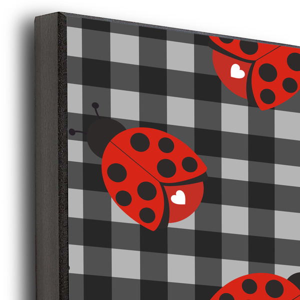 Ladybugs & Stripes 20x24 Wood Print - Closeup