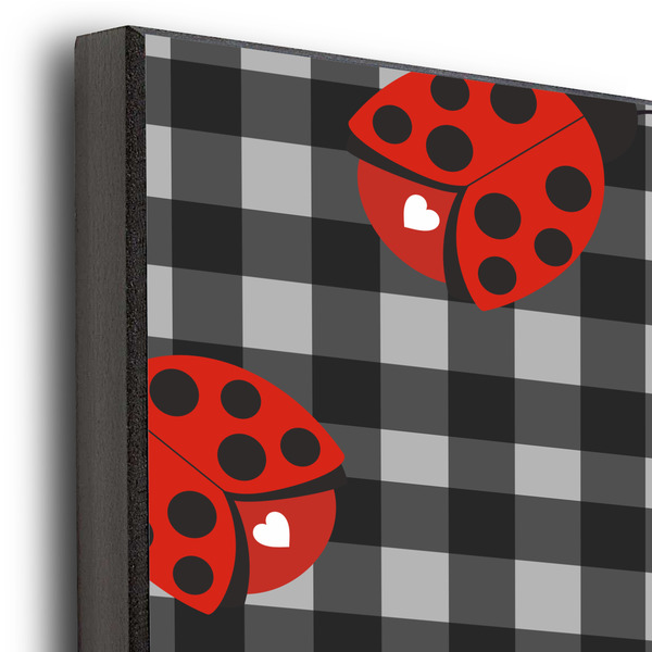 Ladybugs & Stripes 20x30 Wood Print - Closeup