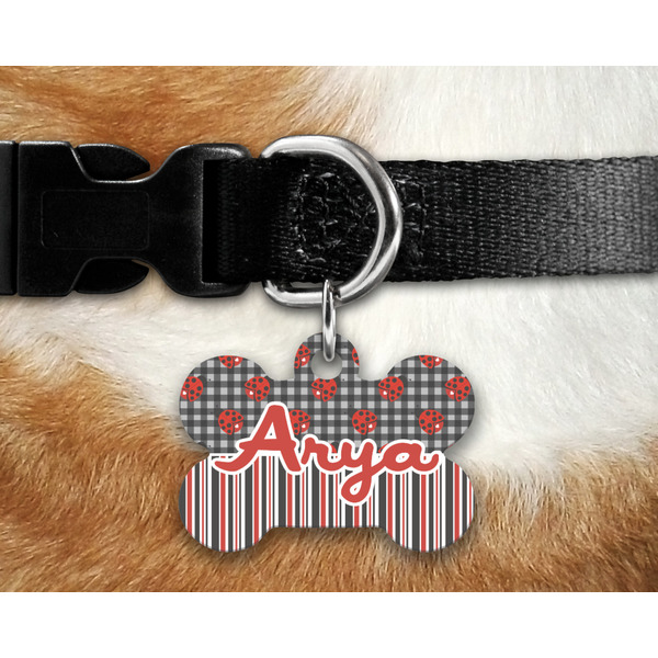 Ladybugs & Stripes Bone Shaped Dog Tag on Collar & Dog