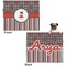Ladybugs & Stripes Microfleece Dog Blanket - Large- Front & Back