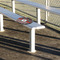 Ladybugs & Stripes Stadium Cushion (In Stadium)