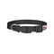 Red & Black Dots & Stripes Dog Collar - Small - Back