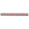 Red & Black Dots & Stripes Plastic Ruler - 12" - FRONT