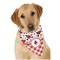 Ladybugs & Gingham Dog Bandana Scarf w/ Name or Text