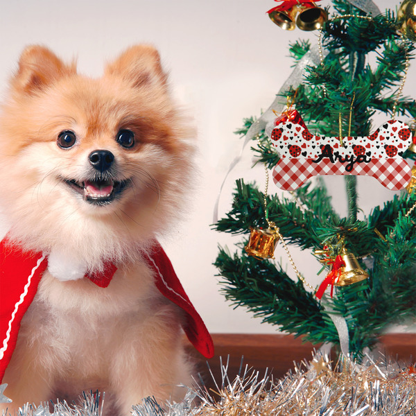 Ladybugs & Gingham Ceramic Flat Ornament - Bone (LIFESTYLE)