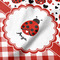 Ladybugs & Gingham Hooded Baby Towel- Detail Close Up