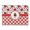 Ladybugs & Gingham Microfiber Screen Cleaner - Front