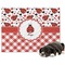 Ladybugs & Gingham Microfleece Dog Blanket - Large