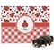 Ladybugs & Gingham Microfleece Dog Blanket - Regular