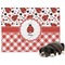 Ladybugs & Gingham Dog Blanket (Personalized)
