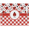 Ladybugs & Gingham Placemat with Props