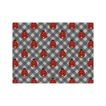 Ladybugs & Gingham Tissue Paper Sheets - Medium - Heavyweight