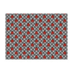 Ladybugs & Gingham Tissue Paper Sheets