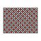 Ladybugs & Gingham Tissue Paper - Lightweight - Large - Front