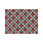 Ladybugs & Gingham Tissue Paper Sheets - Medium - Lightweight