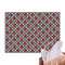 Ladybugs & Gingham Tissue Paper Sheets - Main